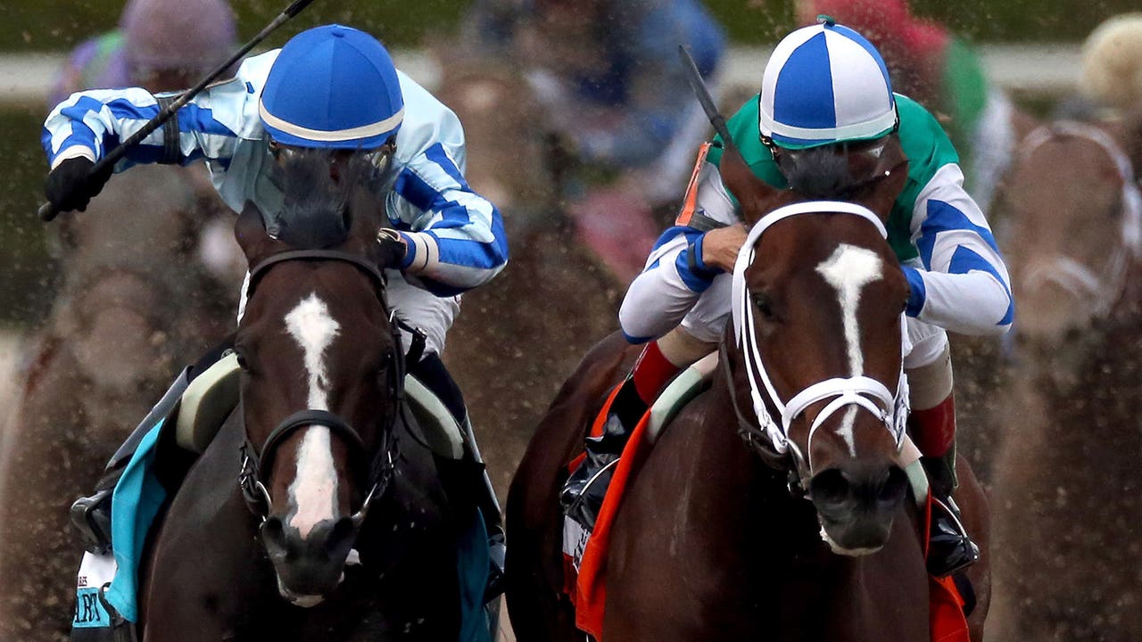 Good luck trying to upset American Pharoah in the Haskell